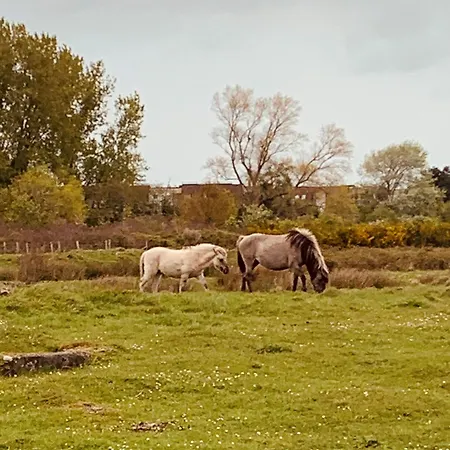 Appartamento Sea Heated Pool With Parking - Promenade Cannes Bredene