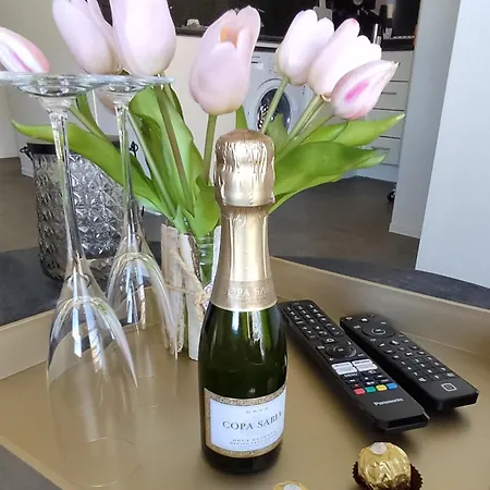 Sea Heated Pool With Parking - Promenade Cannes * Bredene