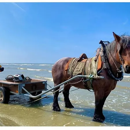 Sea Heated Pool With Parking - Promenade Cannes